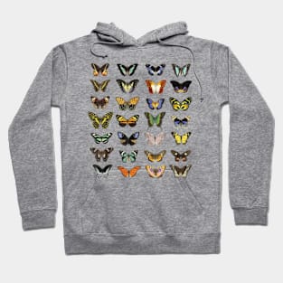 Cottagecore Butterfly And Moth Papillon Vintage Illustration Hoodie